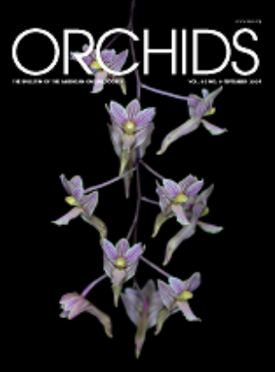 Picture of 2024/09 September ORCHIDS Magazine