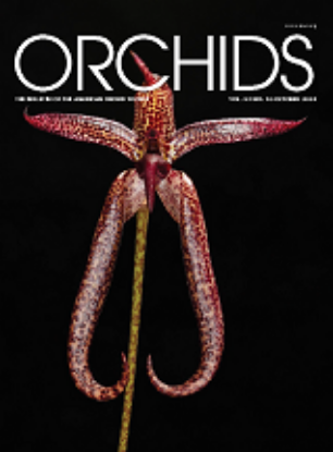 Picture of 2024/10 October ORCHIDS Magazine