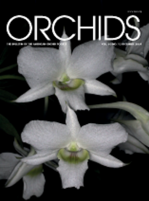 Picture of 2024/12 December ORCHIDS Magazine
