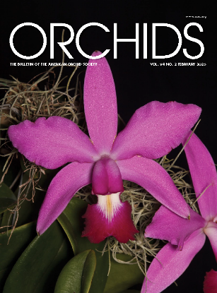 Picture of 2025/02 February ORCHIDS Magazine