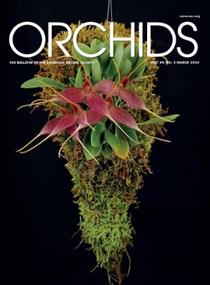 Picture of 2025/03 March ORCHIDS Magazine