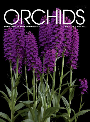Picture of 2025/04 April ORCHIDS Magazine
