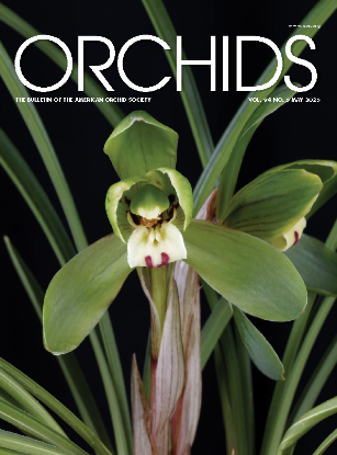 Picture of 2025/05 May ORCHIDS Magazine