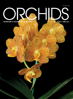 Picture of 2025/06 June ORCHIDS Magazine