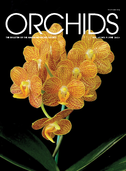Picture of 2025/06 June ORCHIDS Magazine