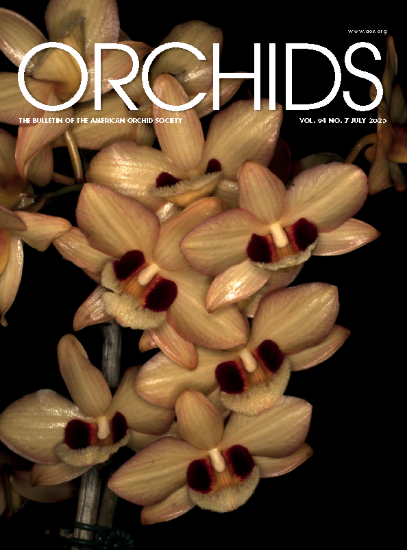 Picture of 2025/07 July ORCHIDS Magazine