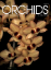 Picture of 2025/07 July ORCHIDS Magazine