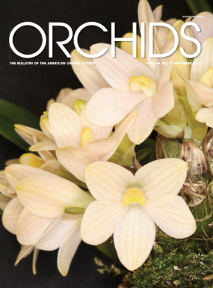 Picture of 2025/09 September ORCHIDS Magazine