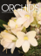 Picture of 2025/09 September ORCHIDS Magazine
