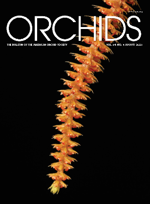 Picture of 2025/08 August ORCHIDS Magazine