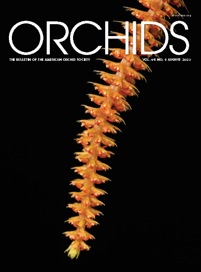 Picture of 2025/08 August ORCHIDS Magazine