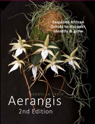 Picture of Aerangis Second Edition (U.S. Domestic Shipping) (exclusive)
