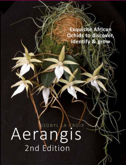 Picture of Aerangis Second Edition (U.S. Domestic Shipping) (exclusive)