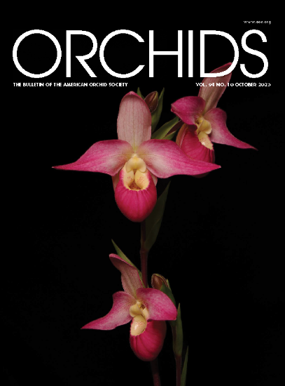 Picture of 2025/10 October ORCHIDS Magazine