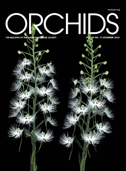 Picture of 2025/12 December ORCHIDS Magazine