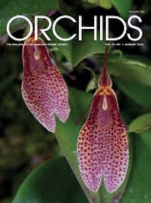 Picture of 2026/01 January  ORCHIDS Magazine